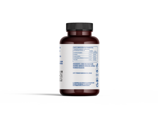 Hongo Melena de León orgánico en cápsulas