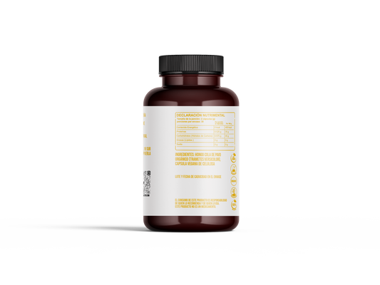 Hongo Cola de pavo en Cápsulas