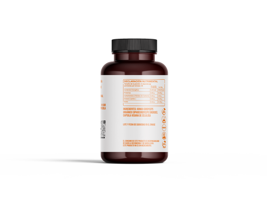 Hongo Cordyceps orgánico en cápsulas