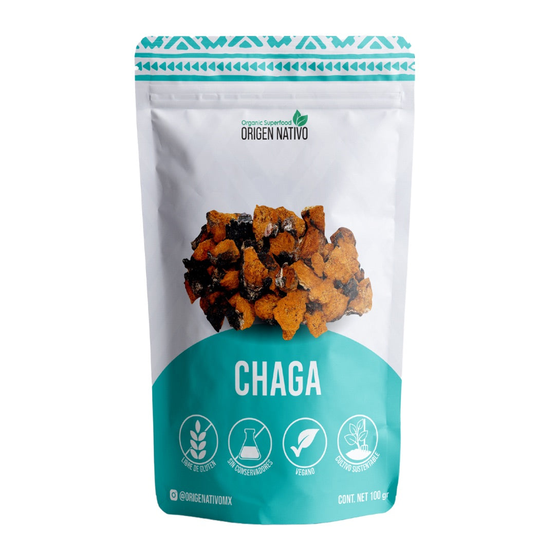 Hongo Chaga Orgánico en polvo