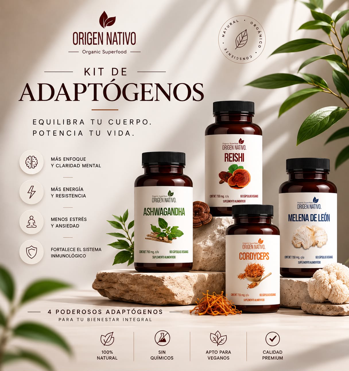 Kit Bienestar | Ashwagandha + Reishi + Cordyceps + Melena de León